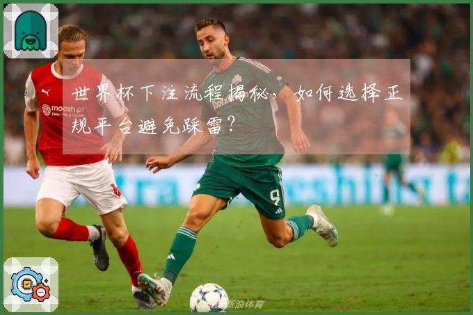 世界杯下注流程揭秘，如何选择正规平台避免踩雷？