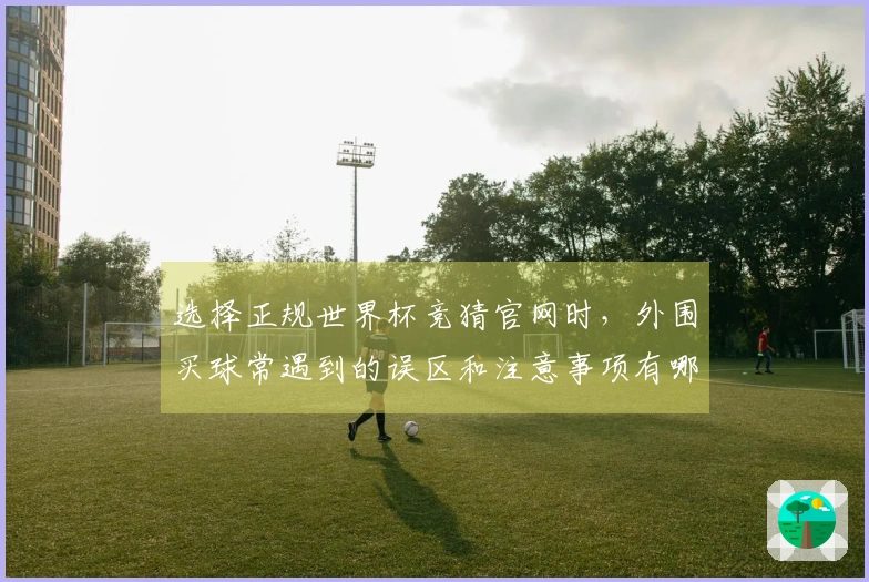 选择正规世界杯竞猜官网时，外围买球常遇到的误区和注意事项有哪些？