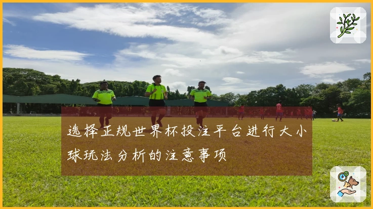 选择正规世界杯投注平台进行大小球玩法分析的注意事项