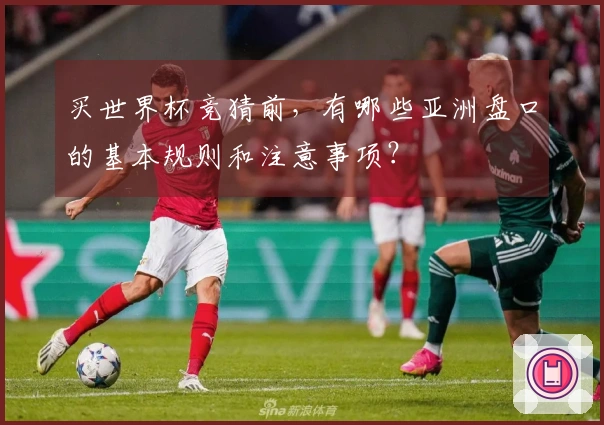 买世界杯竞猜前,有哪些亚洲盘口的基本规则和注意事项?