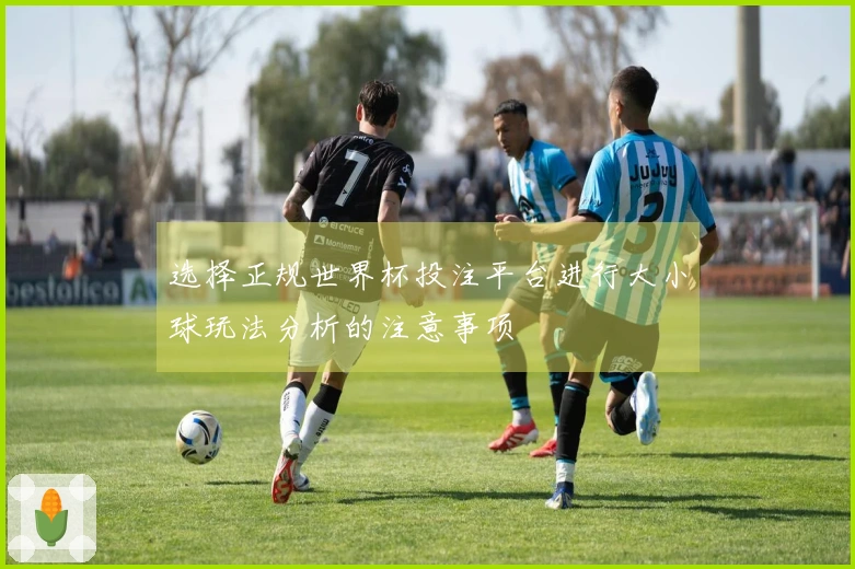 选择正规世界杯投注平台进行大小球玩法分析的注意事项