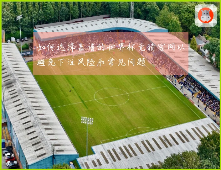 如何选择靠谱的世界杯竞猜官网以避免下注风险和常见问题