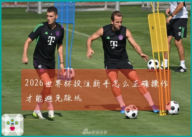 2026世界杯投注新手怎么正确操作才能避免踩坑