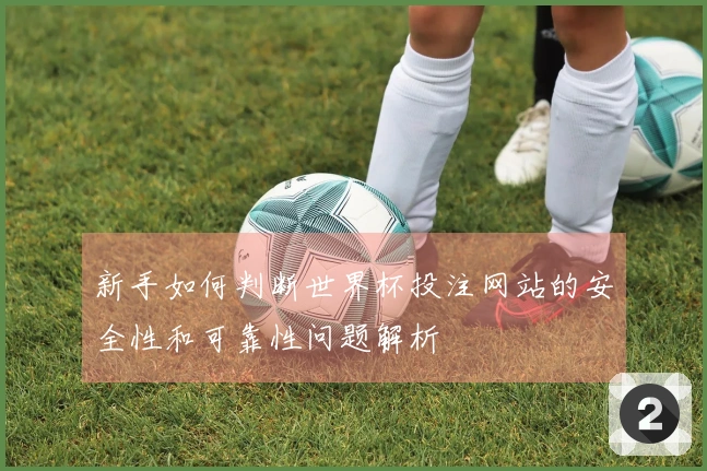 新手如何判断世界杯投注网站的安全性和可靠性问题解析